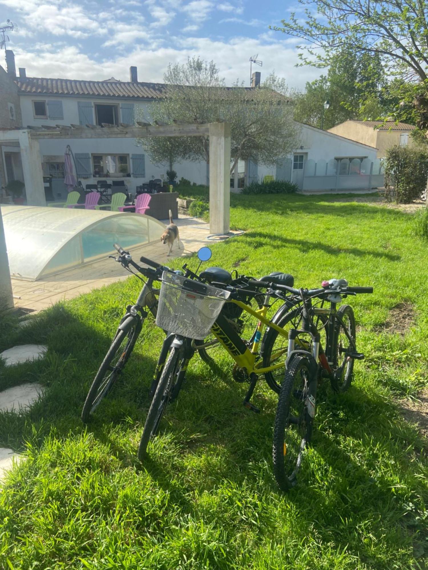 Saint-Xandre Petit Appartement מראה חיצוני תמונה